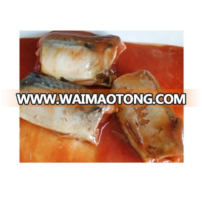 Delicious Best Canned Mackerel Brand OEM